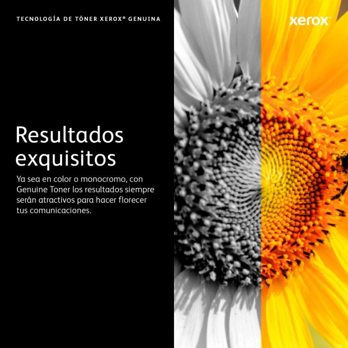 Imagen 7 del producto