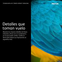 Imagen 3 del producto