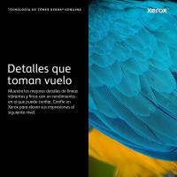 Imagen 3 del producto