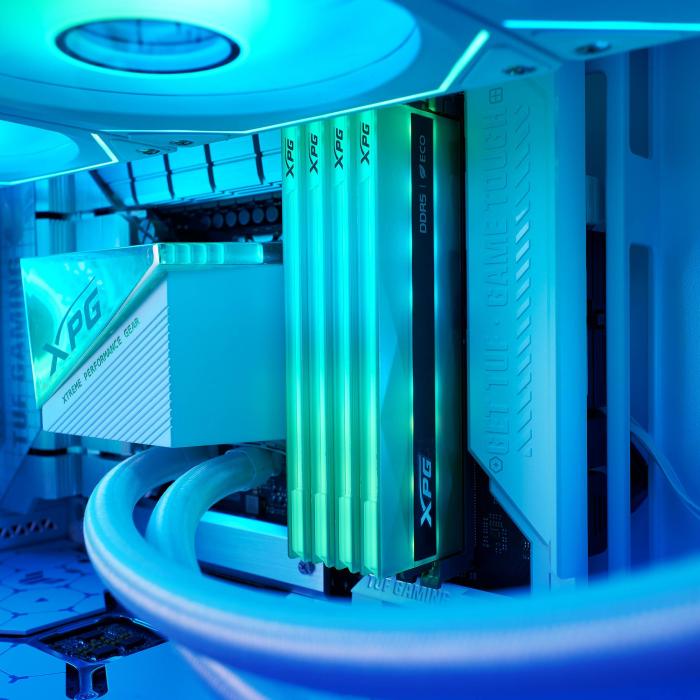 Imagen 6 del producto