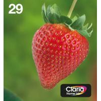 Epson Strawberry Multipack EasyMail ''Fraise'' 29 - Encre Claria Home N,C,M,J
