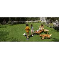 Image 19 numéro de produit