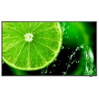 NEC MultiSync E658 165,1 cm (65'') IPS 350 cd/m² 4K Ultra HD Noir 16/7