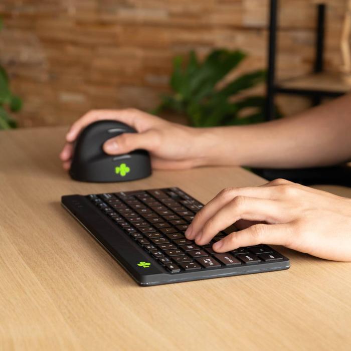 R-Go Tools Clavier ergonomique R-Go Compact Break, clavier compact avec logiciel de pause,QWERTY (PT), Bluetooth, noir — image 22 sur 28