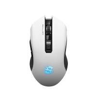 Sharkoon Skiller SGM3 souris Gaming Droitier RF Wireless + USB Type-A Optique 6000 DPI