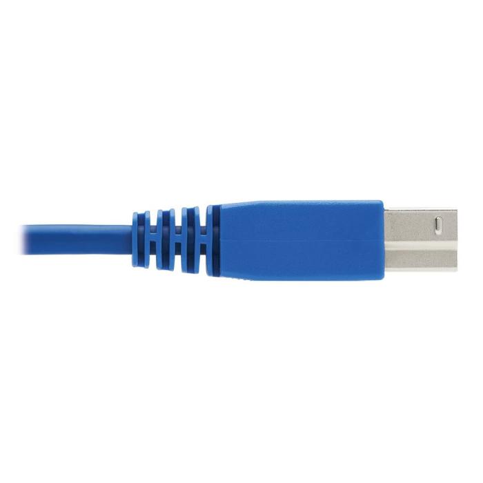 Tripp Lite P785-HKIT06 câble kvm Noir, Bleu, Gris 1,8 m — image 10 sur 11