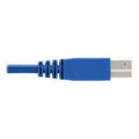Tripp Lite P785-HKIT06 câble kvm Noir, Bleu, Gris 1,8 m, voir l’image 10 sur 11