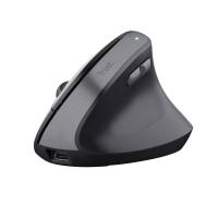 Trust TM-270 souris Bureau Droitier RF sans fil Optique 2400 DPI