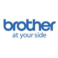 Brother PACD001CG adattatore e invertitore Auto Nero