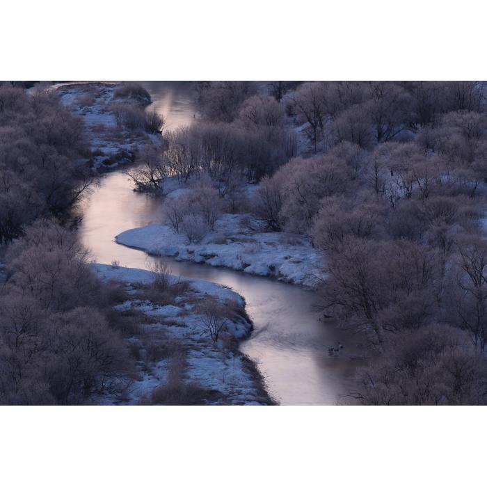 Immagine 9 del prodotto