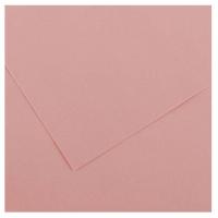 Canson C200040225 carta da disegno Foglio d'arte