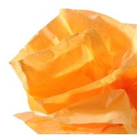 Canson C200992661 carta crespa Arancione
