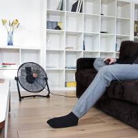 Immagine 2 del prodotto