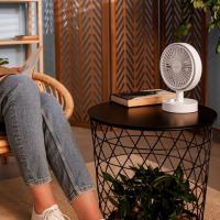 Immagine 3 del prodotto