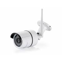 Conceptronic Jareth Pallottola (forma) Telecamera di sicurezza IP Interno 1920 x 1080 Pixel Soffitto/muro