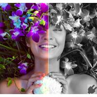 Immagine 19 del prodotto