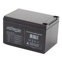 Gembird BAT-12V12AH batteria UPS Acido piombo (VRLA) 12 V 12 Ah