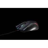 Immagine 5 del prodotto