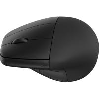 HP Mouse wireless ergonomico 920