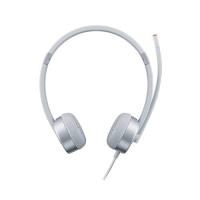 Lenovo 100 Auricolare Cablato A Padiglione Ufficio Argento