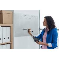 Nobo 1915615 lavagna 297 x 420 mm Acrilico, vedi immagine 10 di 14