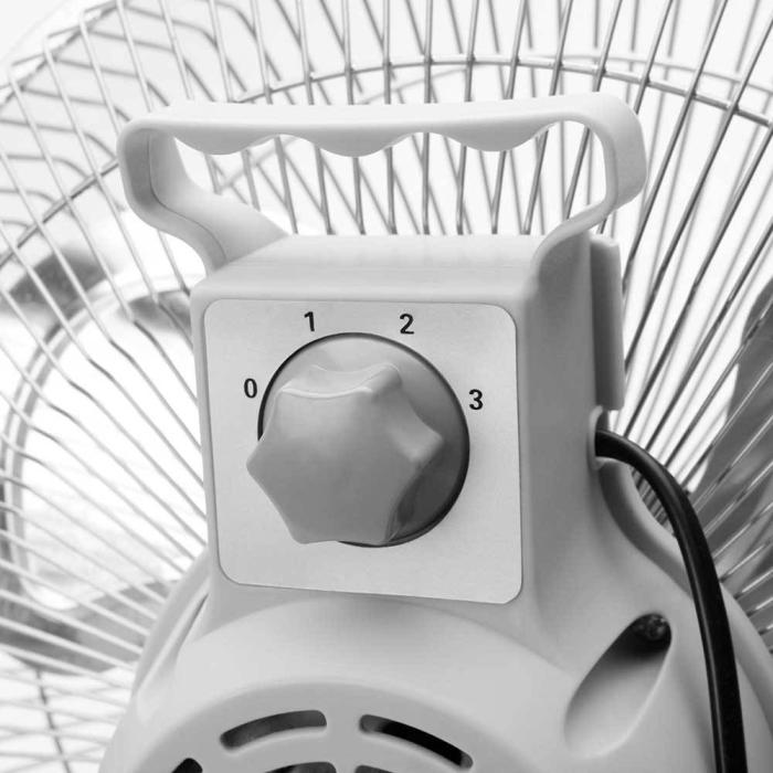 Immagine 2 del prodotto