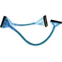 Revoltec IDE Cable round (UDMA 133), UV active, 60cm 0.6m Blu cavo SATA