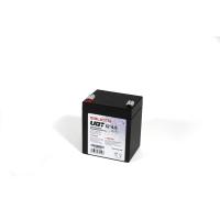 Salicru 013BS000006 batteria UPS Acido piombo (VRLA) 12 V 4,5 Ah