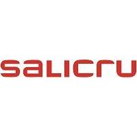 Salicru SPS 1100 ONE BL gruppo di continuità (UPS) A linea interattiva 1,1 kVA 600 W 4 presa(e) AC