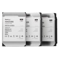 Synology HAS5300-12T disco rigido interno 12 TB 7200 Giri/min 256 MB 3.5'' SAS