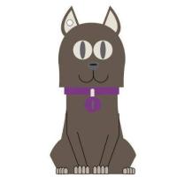 TECH1TECH TEC5133-16 16GB USB 2.0 Capacity Grigio unità flash USB