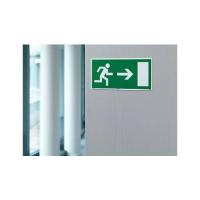 Immagine 3 del prodotto