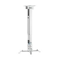 AISENS CWP01TSE-049 suporte de projetores Teto/parede Branco
