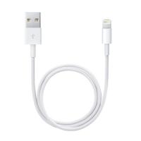 Apple Lightning / USB 0,5 m Branco