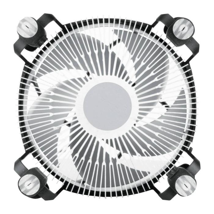 Imagem 6 do produto