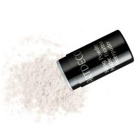ARTDECO Fixing Powder Caster 10g pó facial