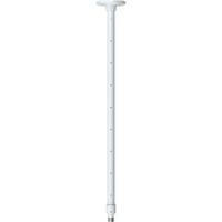 Axis 01189-001 acessório para câmaras de segurança Pé de montagem no teto