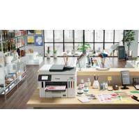 Imagem 17 do produto