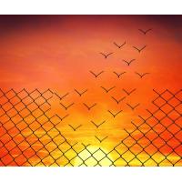 Imagem 14 do produto