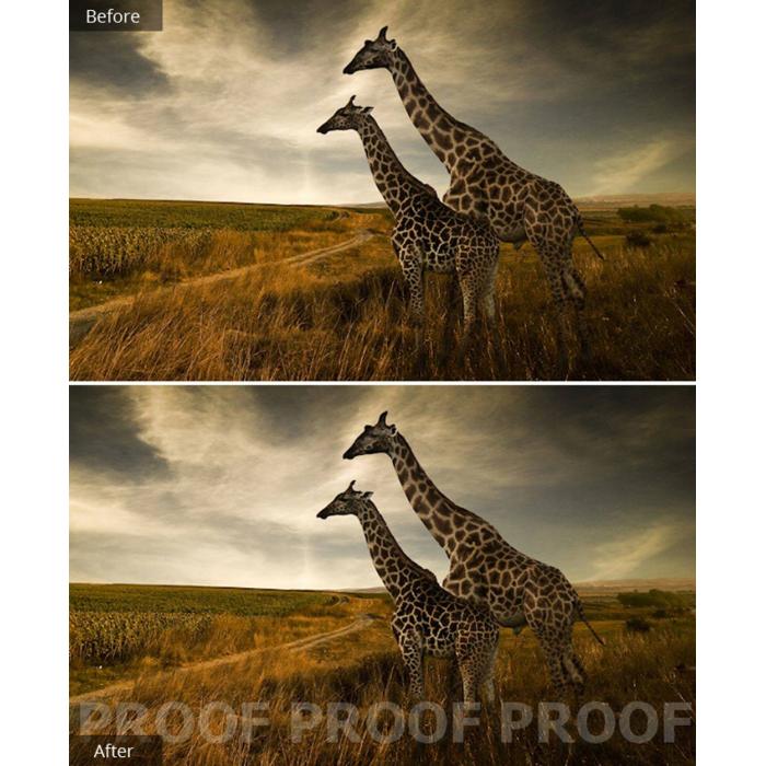 Imagem 13 do produto