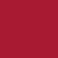 Cricut Smart Vinyl Permanente Vermelho Fosco, ver imagem 4 de 4