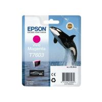 Epson C13T76034N10 tinteiro 1 unidade(s) Original Magenta intenso, ver imagem 1 de 1