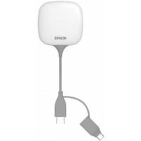 Epson ELPWP10