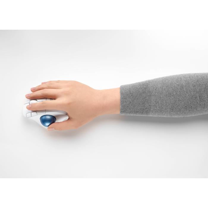 Imagem 12 do produto