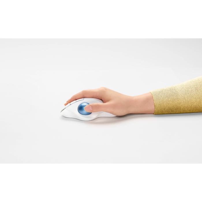 Imagem 13 do produto