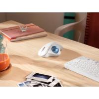 Imagem 16 do produto