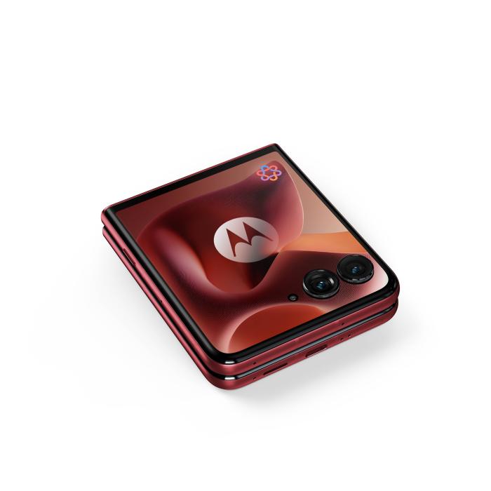 Imagem 23 do produto