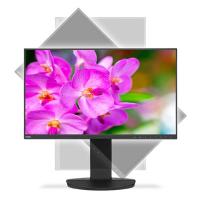 Imagem 5 do produto