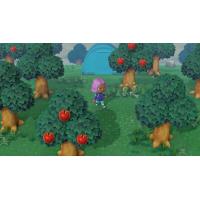 Imagem 15 do produto