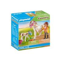 Playmobil Country 71243 boneco temático para crianças